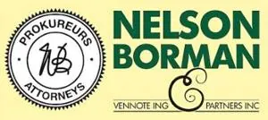 Nelson Borman and Partners Inc logo