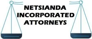 Netsianda Incorporated logo