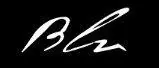 Berndt and La Vita Incorporated logo